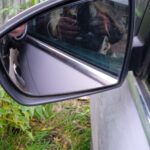 Huse pentru protectie alimente tip capac transparente din pvc photo review